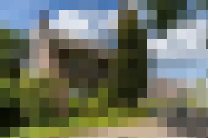 Schutsboom 30 Deurne thumbnail 5