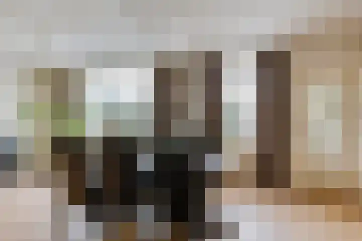 Schutsboom 30 Deurne thumbnail 6