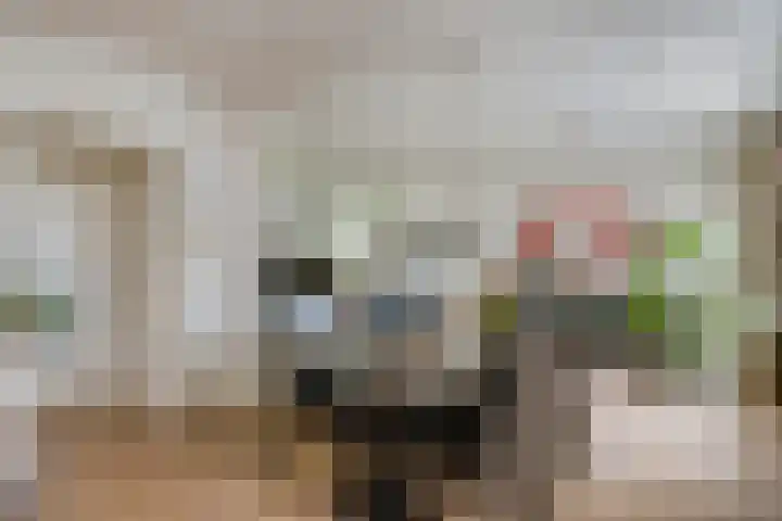 Schutsboom 30 Deurne thumbnail 8
