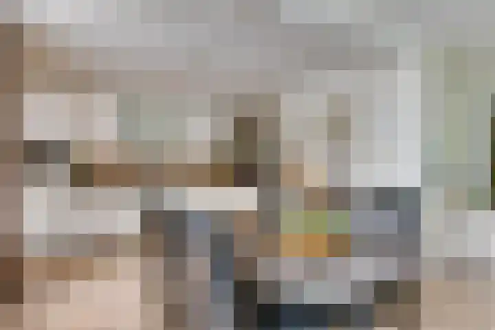 Schutsboom 30 Deurne thumbnail 9