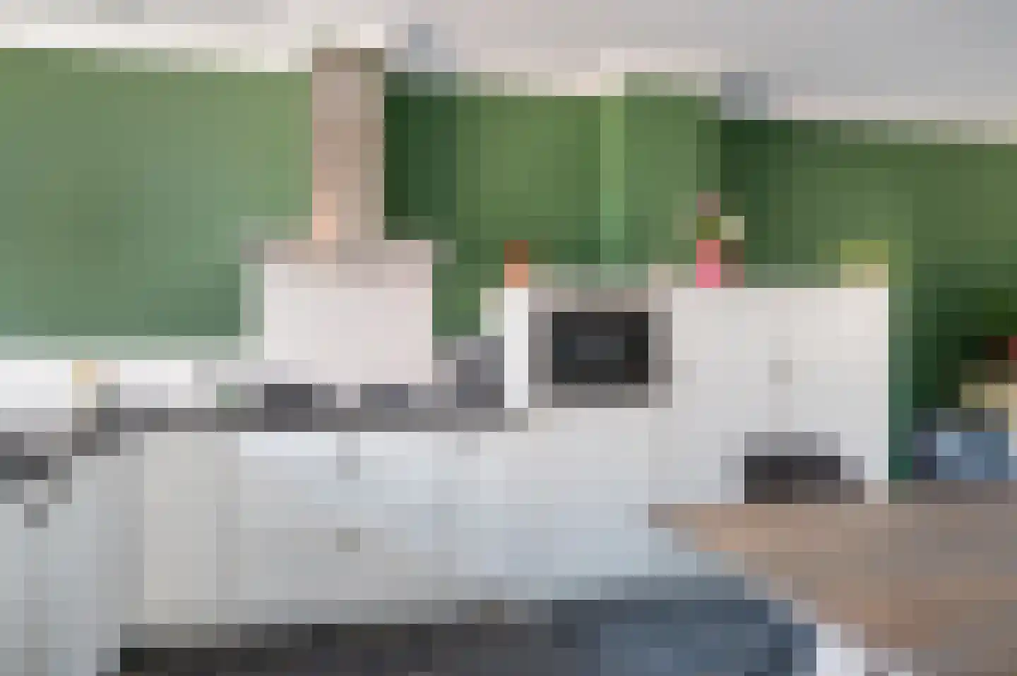 Schutsboom 32 Schijndel thumbnail 13