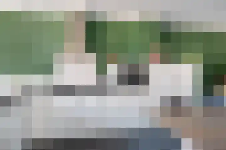 Schutsboom 32 Schijndel thumbnail 13