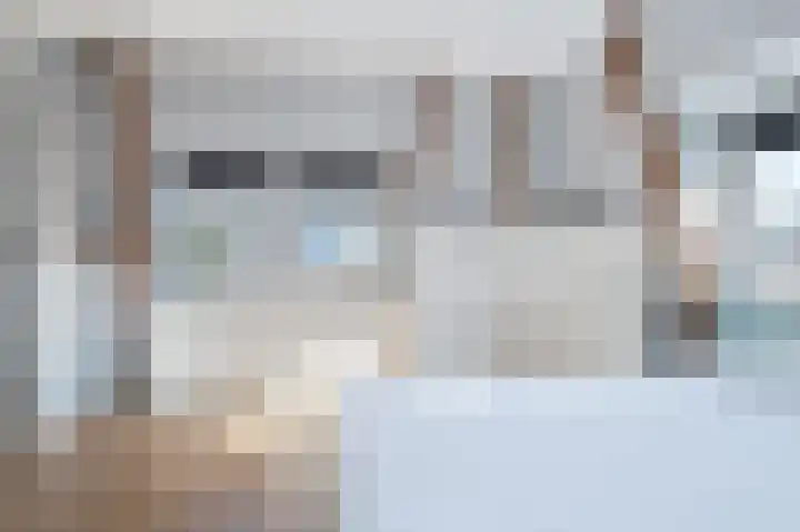 Schutsboom 32 Schijndel thumbnail 19