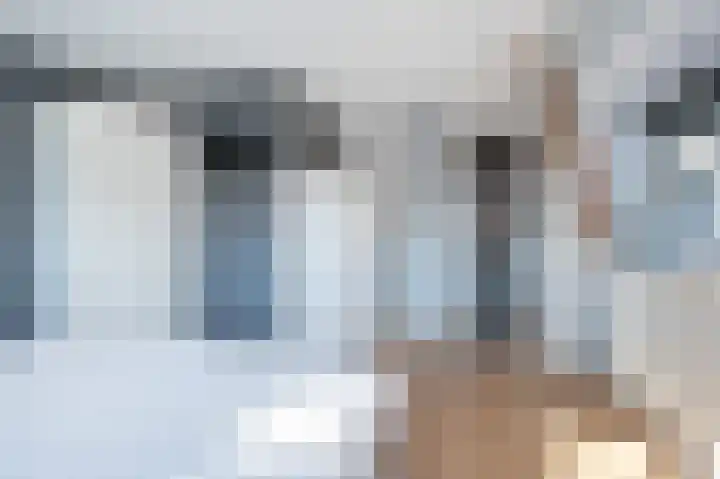 Schutsboom 32 Schijndel thumbnail 20