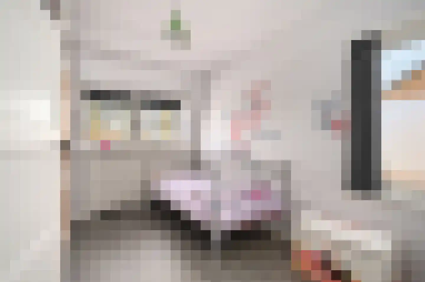Schutsboom 32 Schijndel thumbnail 21