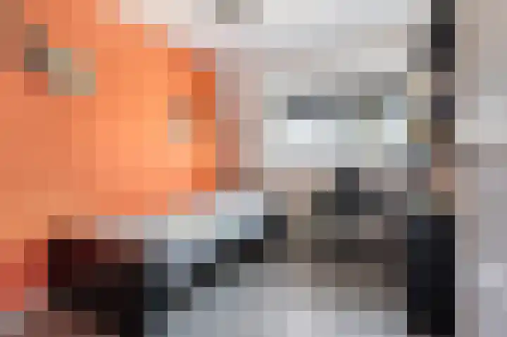 Schutsboom 32 Schijndel thumbnail 23