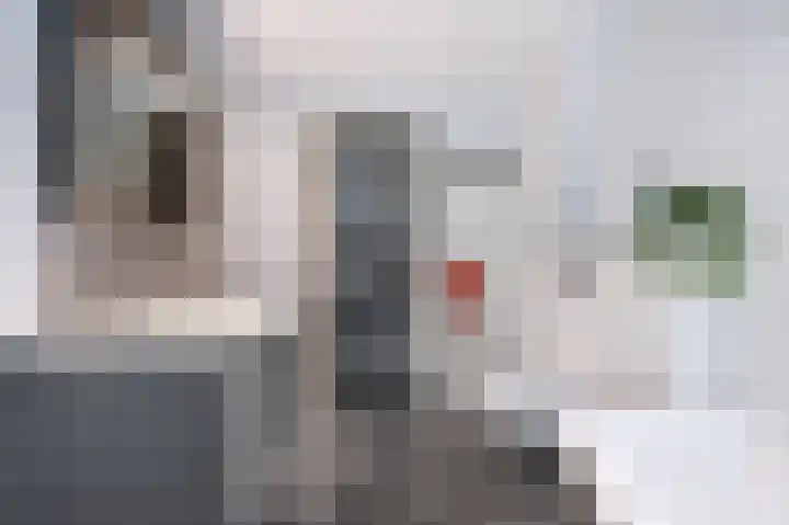 Schutsboom 32 Schijndel thumbnail 25