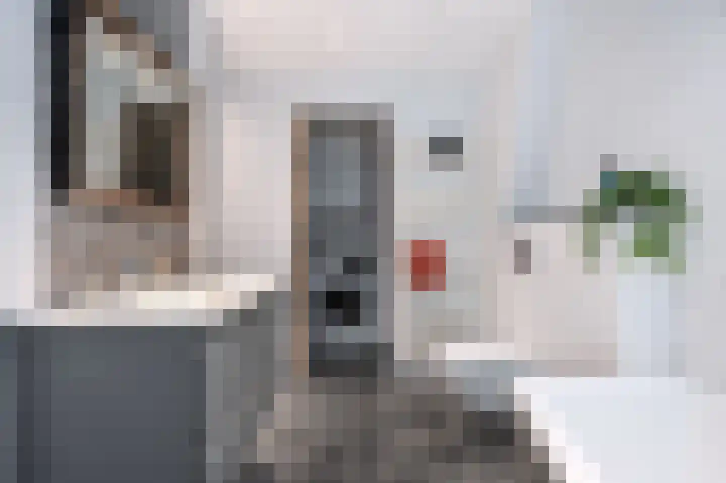 Schutsboom 32 Schijndel thumbnail 25