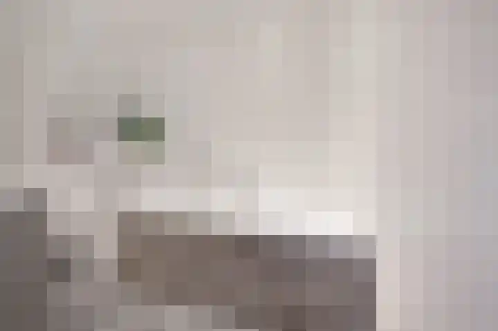 Schutsboom 32 Schijndel thumbnail 26