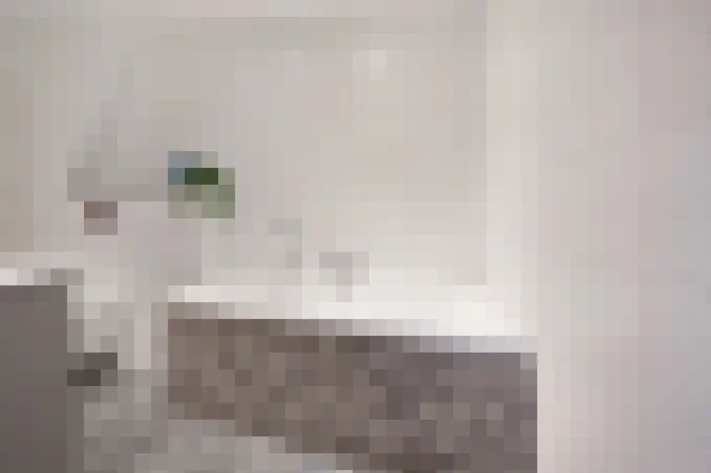 Schutsboom 32 Schijndel thumbnail 26