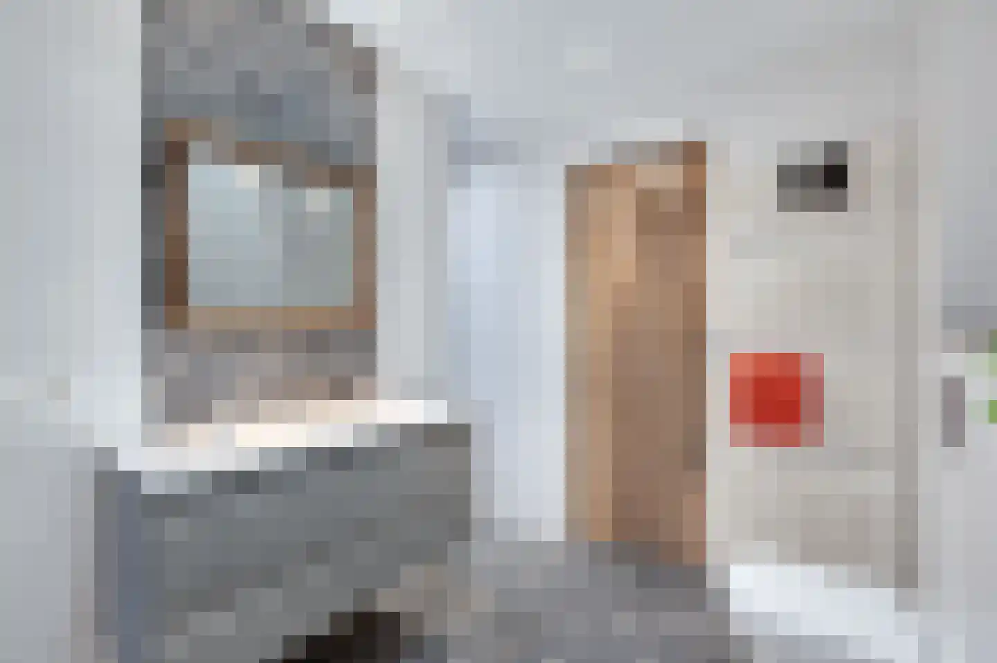 Schutsboom 32 Schijndel thumbnail 27