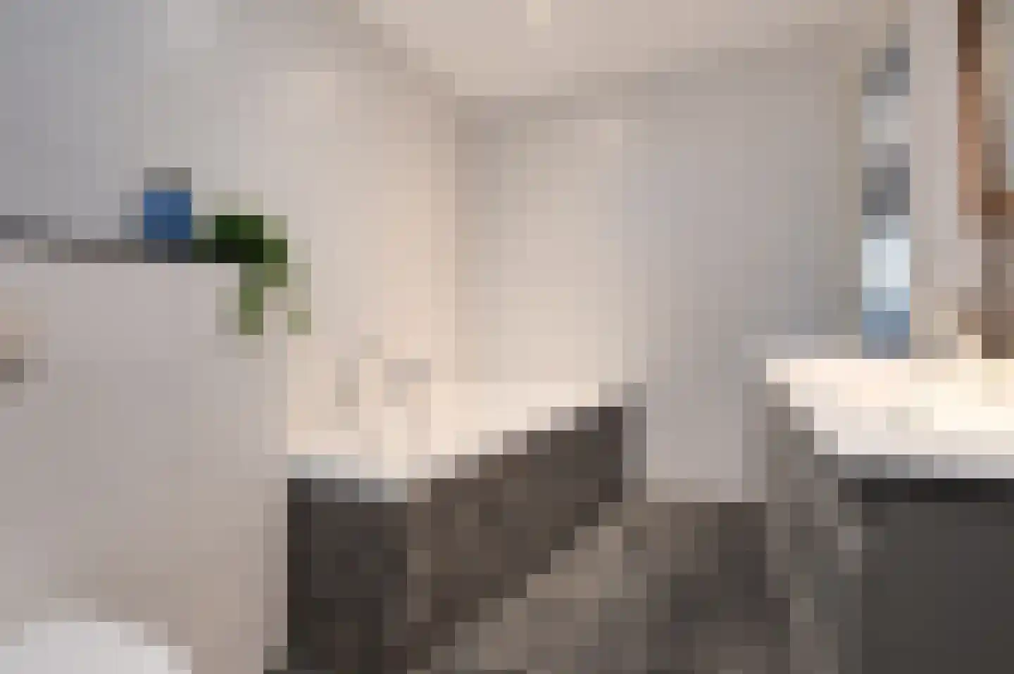 Schutsboom 32 Schijndel thumbnail 29