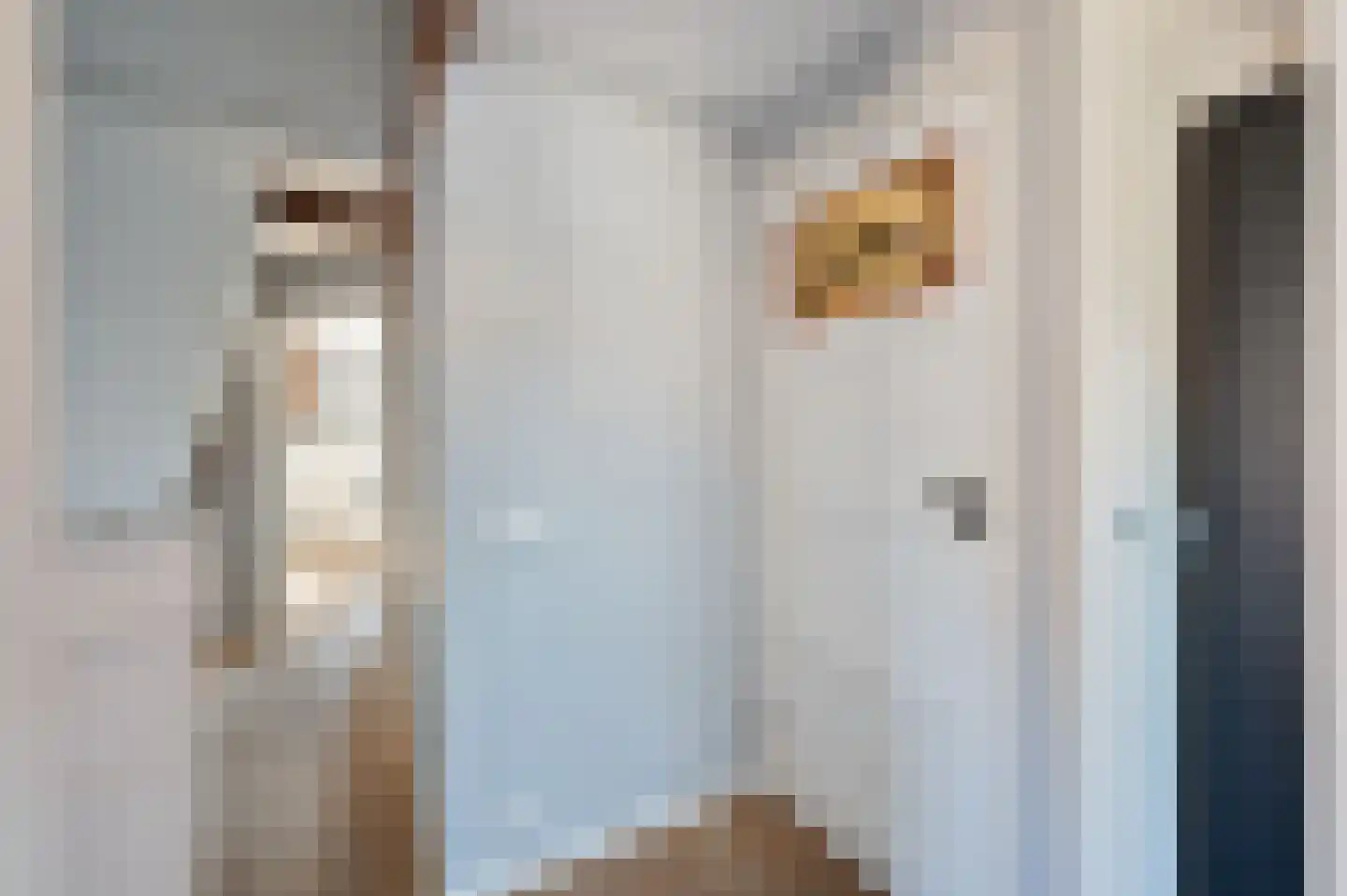 Schutsboom 32 Schijndel thumbnail 30
