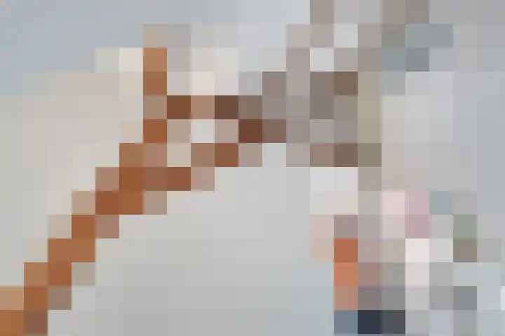 Schutsboom 32 Schijndel thumbnail 31