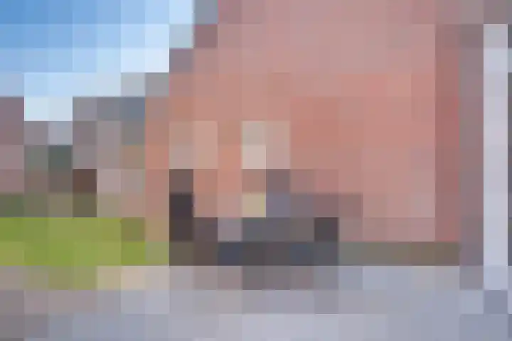 Schutsboom 32 Schijndel thumbnail 37