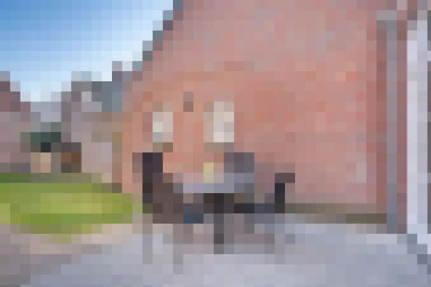 Schutsboom 32 Schijndel thumbnail 37