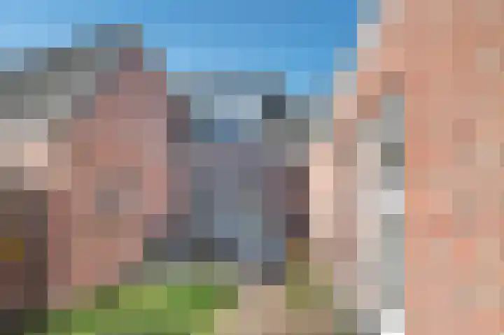 Schutsboom 32 Schijndel thumbnail 38