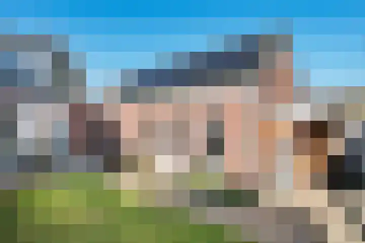 Schutsboom 32 Schijndel thumbnail 39
