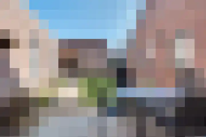 Schutsboom 32 Schijndel thumbnail 4