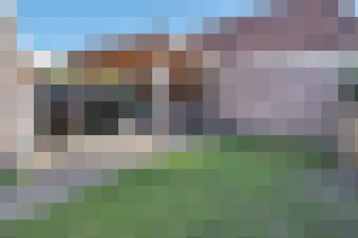 Schutsboom 32 Schijndel thumbnail 40