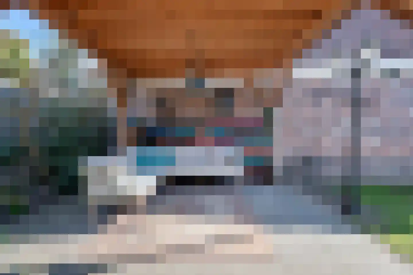 Schutsboom 32 Schijndel thumbnail 41