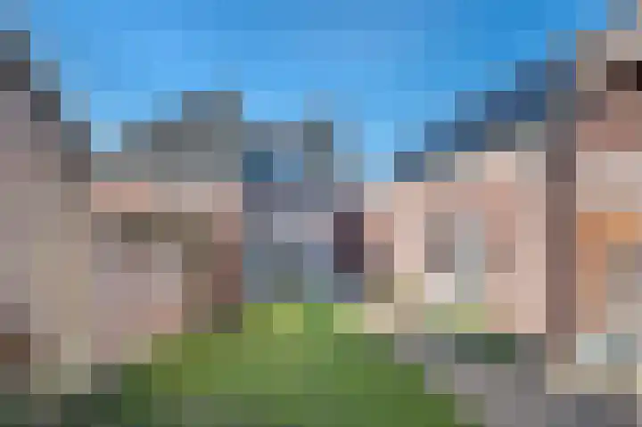 Schutsboom 32 Schijndel thumbnail 42
