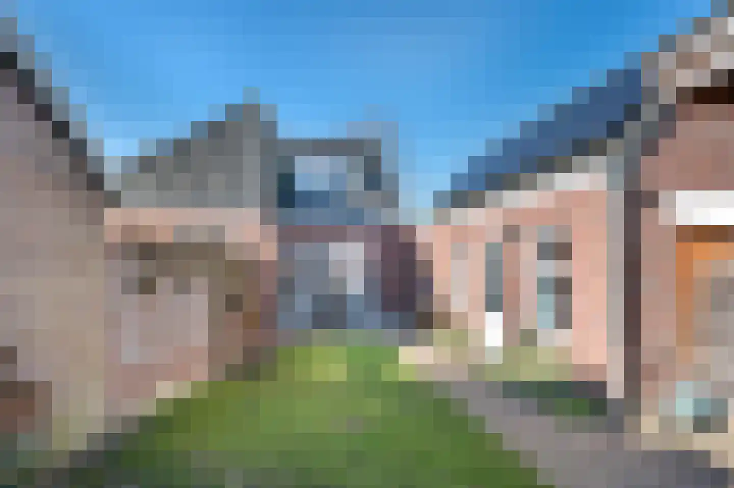 Schutsboom 32 Schijndel thumbnail 42