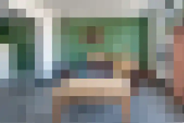 Schutsboom 32 Schijndel thumbnail 8