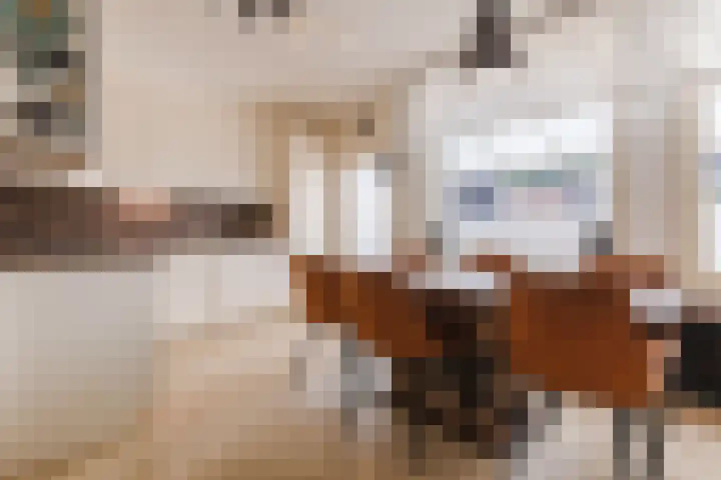Schutsboom 37 Geldrop thumbnail 11