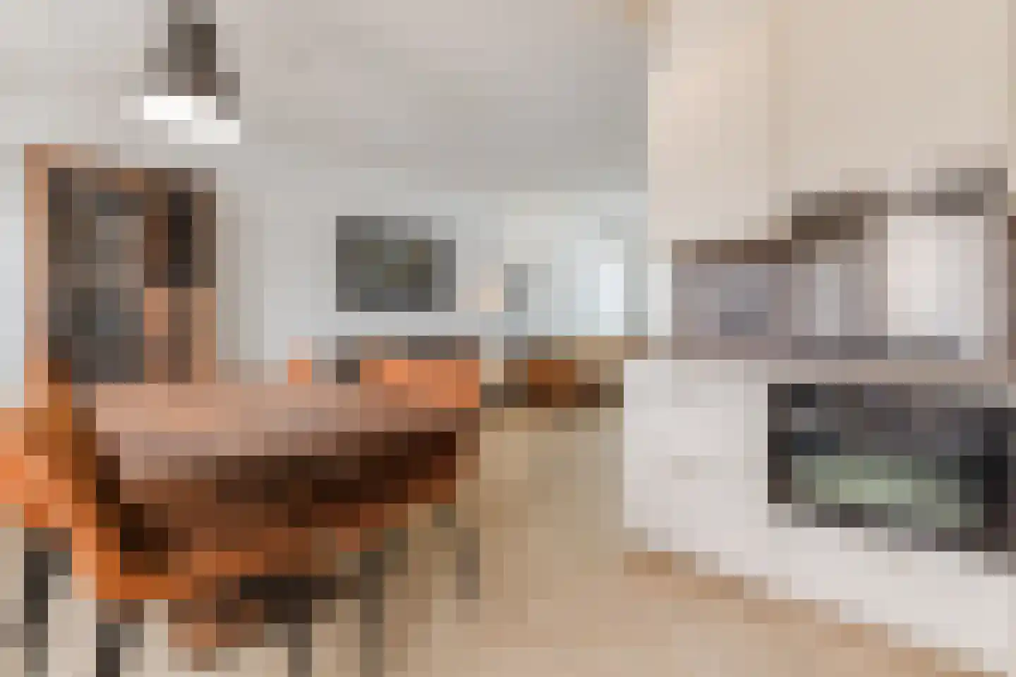 Schutsboom 37 Geldrop thumbnail 17