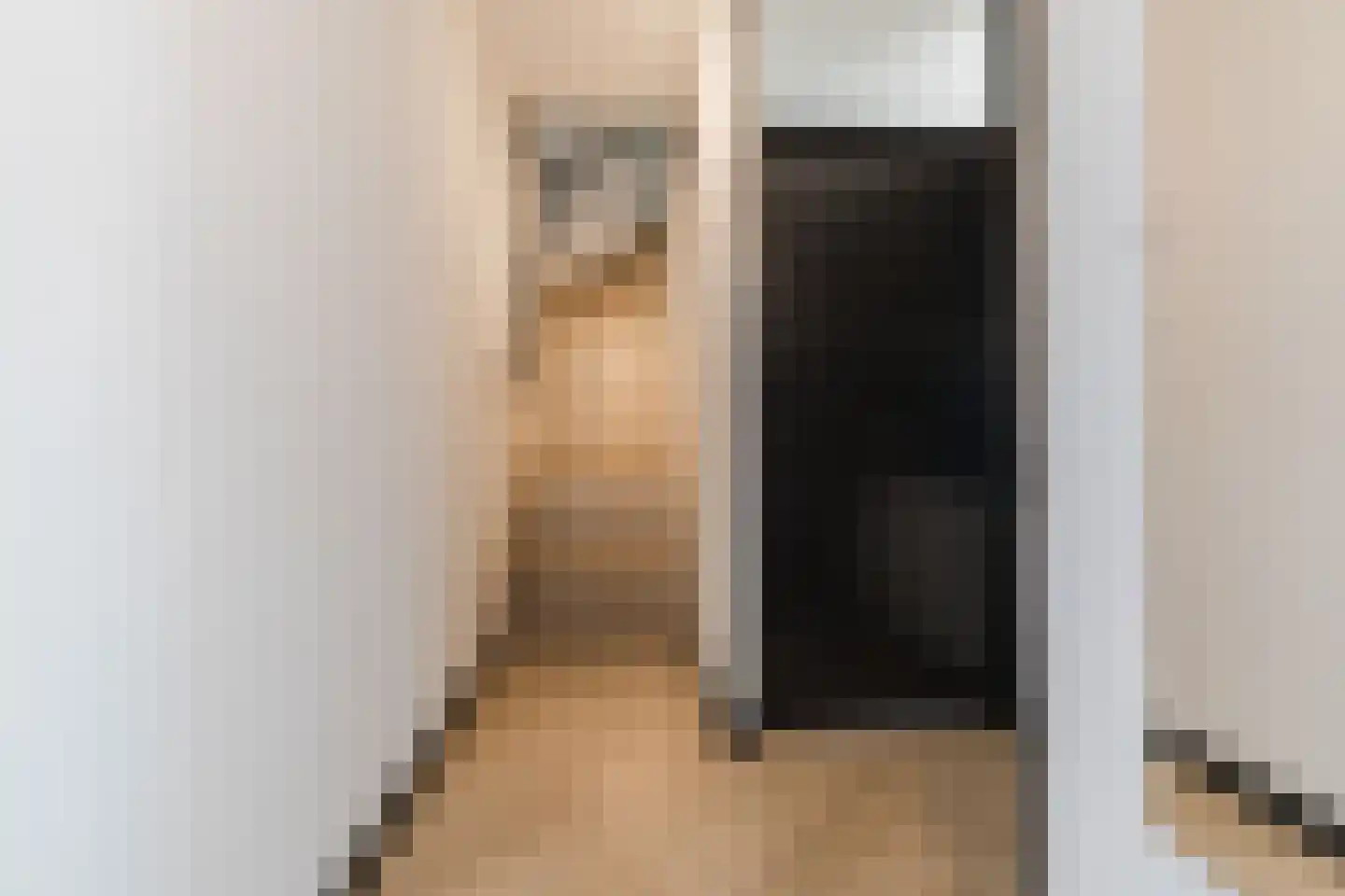 Schutsboom 37 Geldrop thumbnail 20