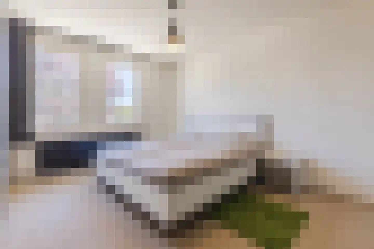 Schutsboom 37 Geldrop thumbnail 22