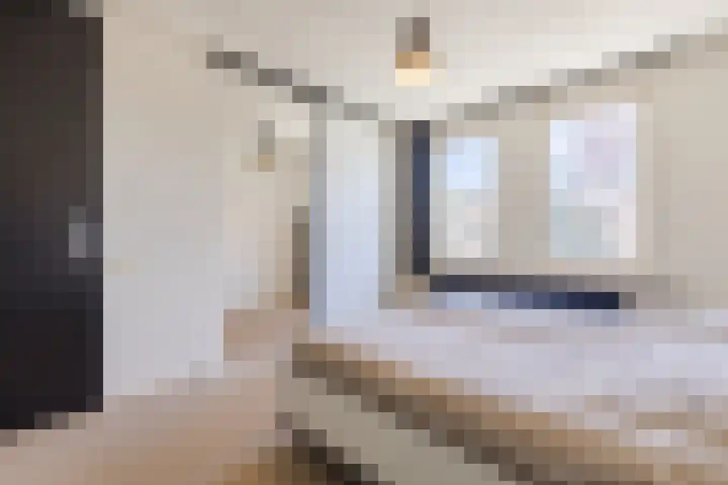 Schutsboom 37 Geldrop thumbnail 23