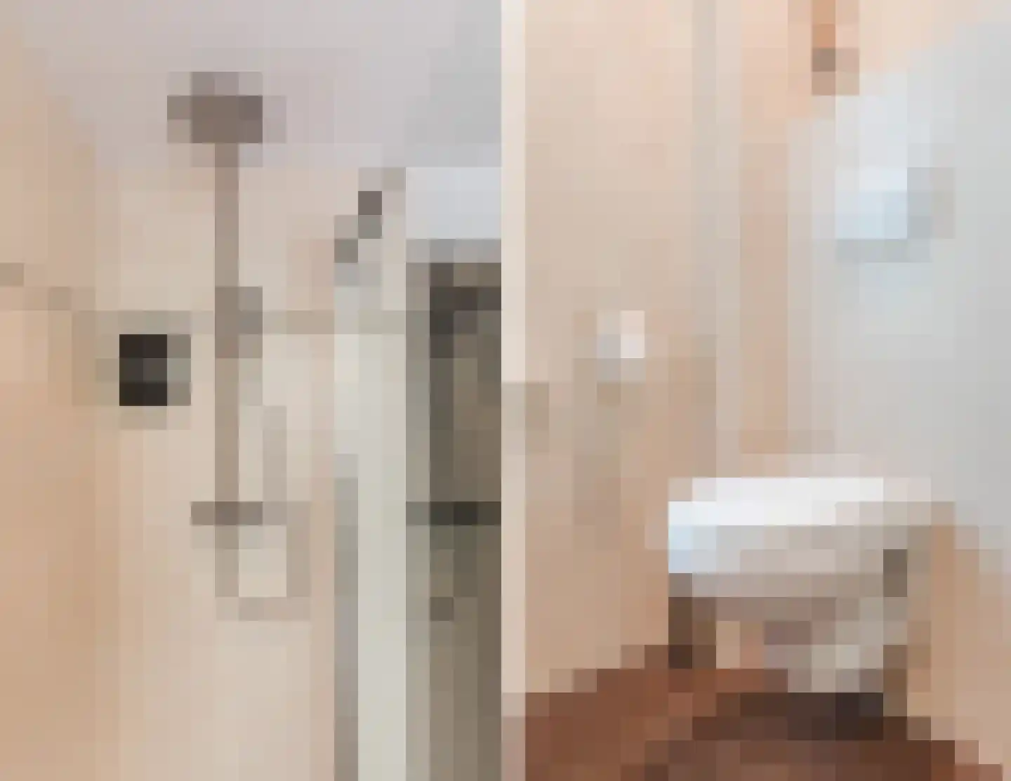 Schutsboom 37 Geldrop thumbnail 32