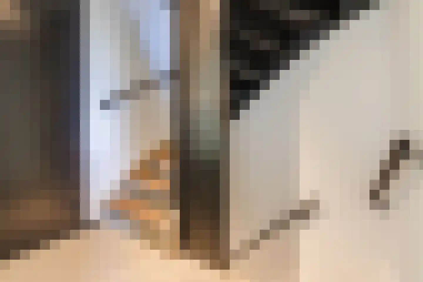 Schutsboom 37 Geldrop thumbnail 33