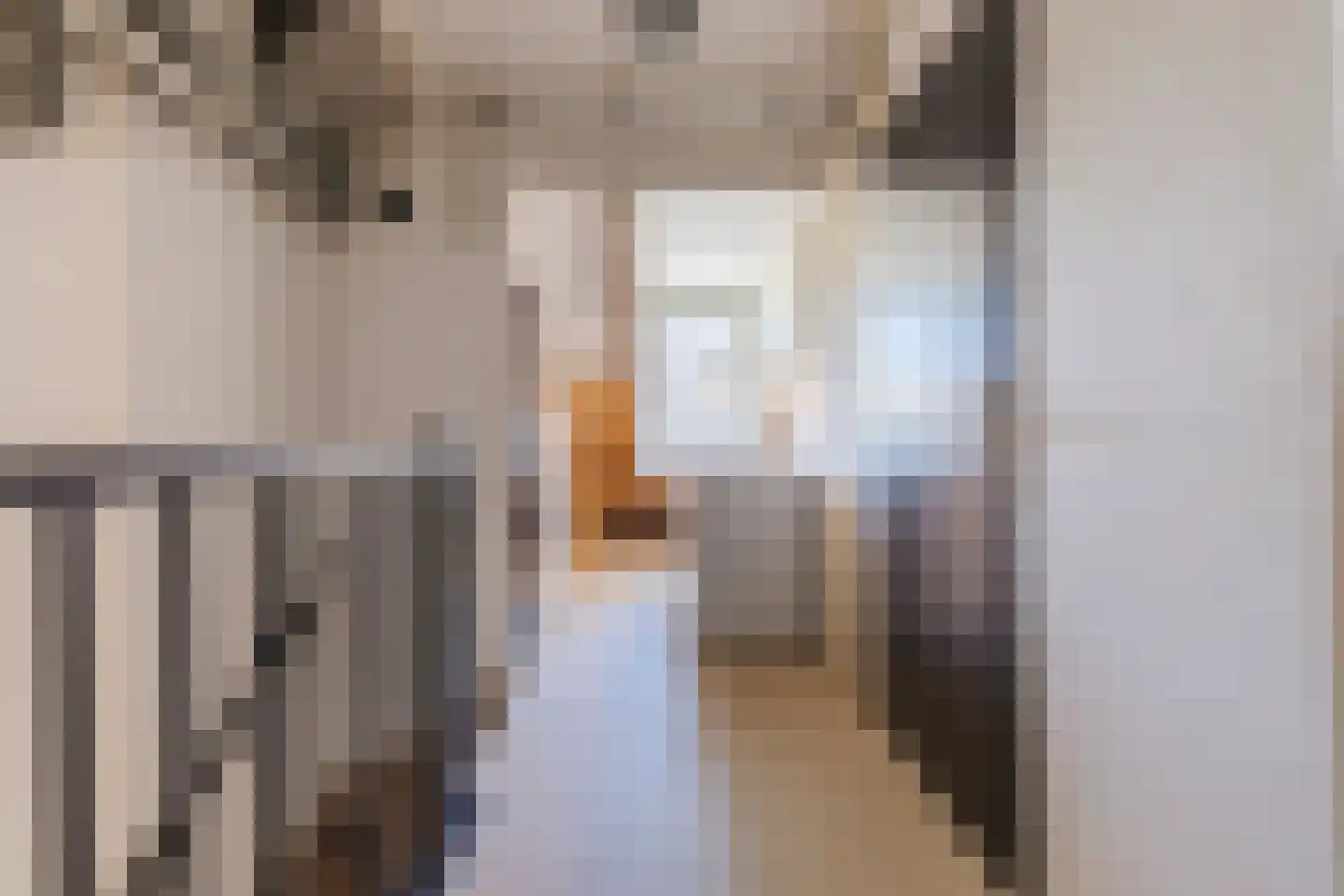 Schutsboom 37 Geldrop thumbnail 38