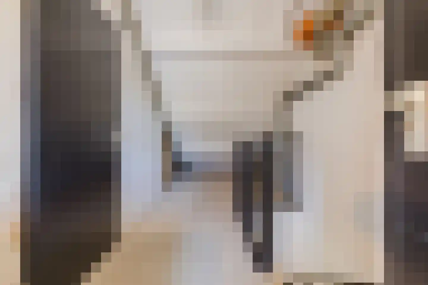 Schutsboom 37 Geldrop thumbnail 39