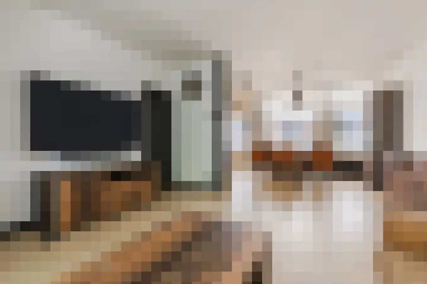 Schutsboom 37 Geldrop thumbnail 4