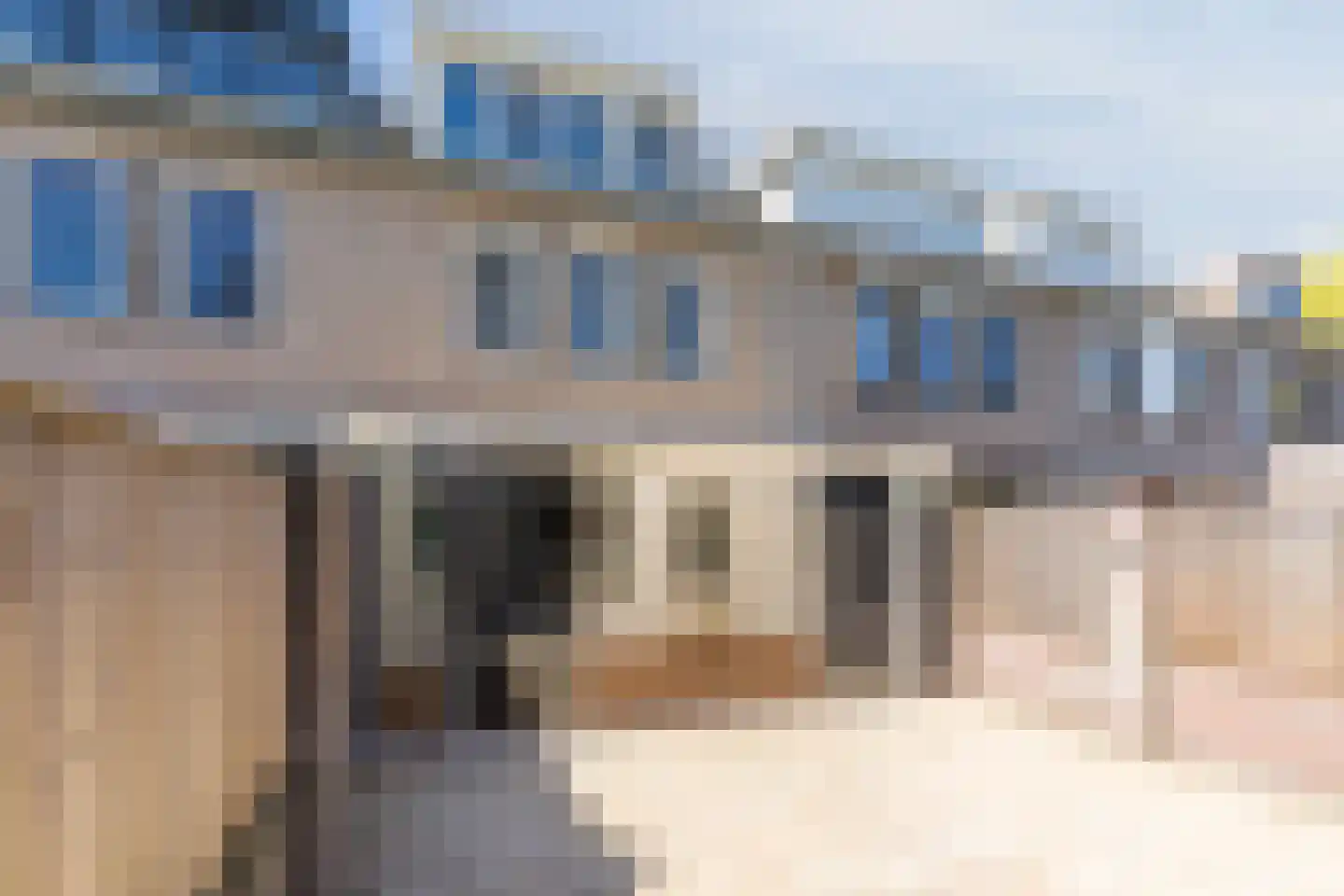 Schutsboom 37 Geldrop thumbnail 44