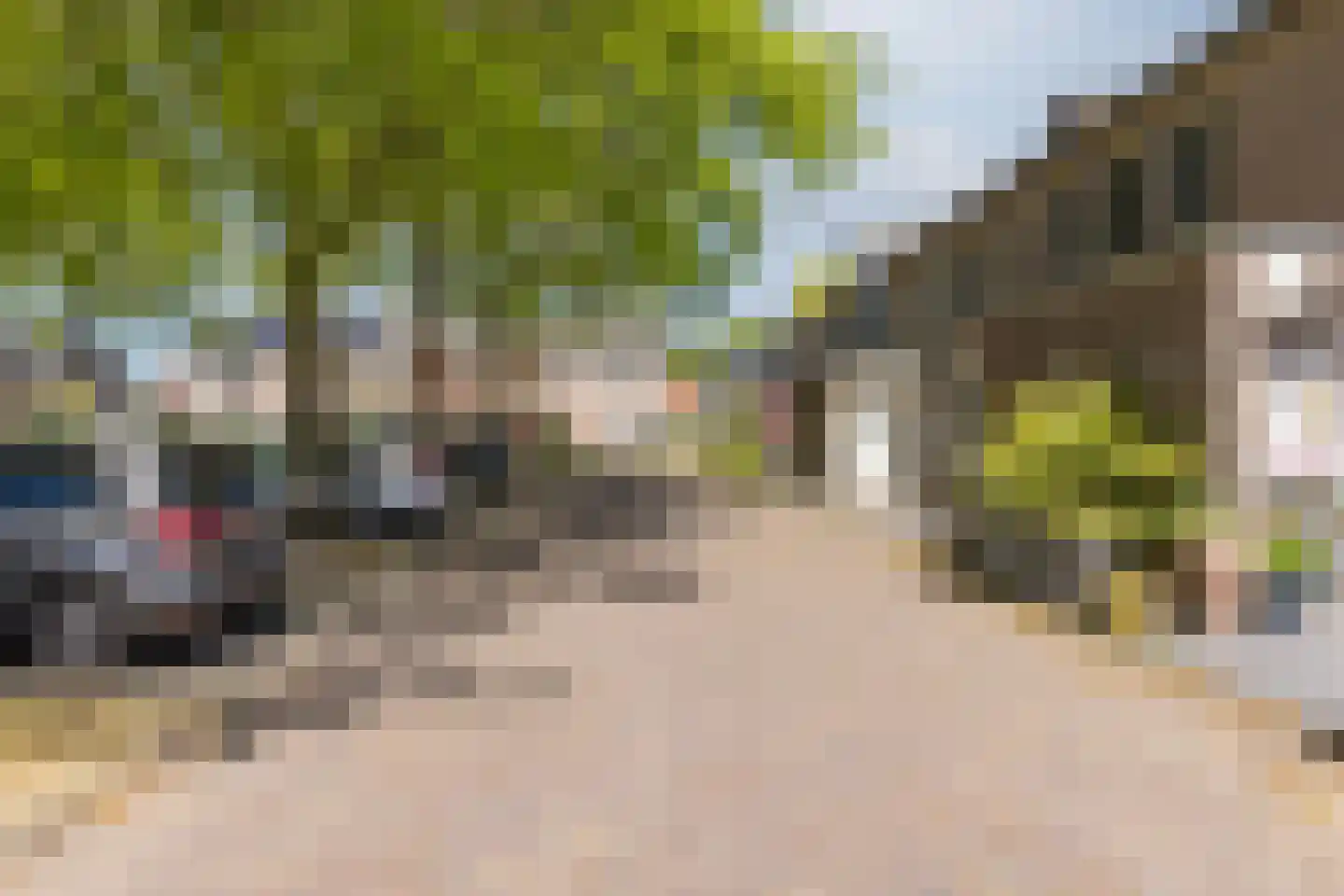 Schutsboom 37 Geldrop thumbnail 46