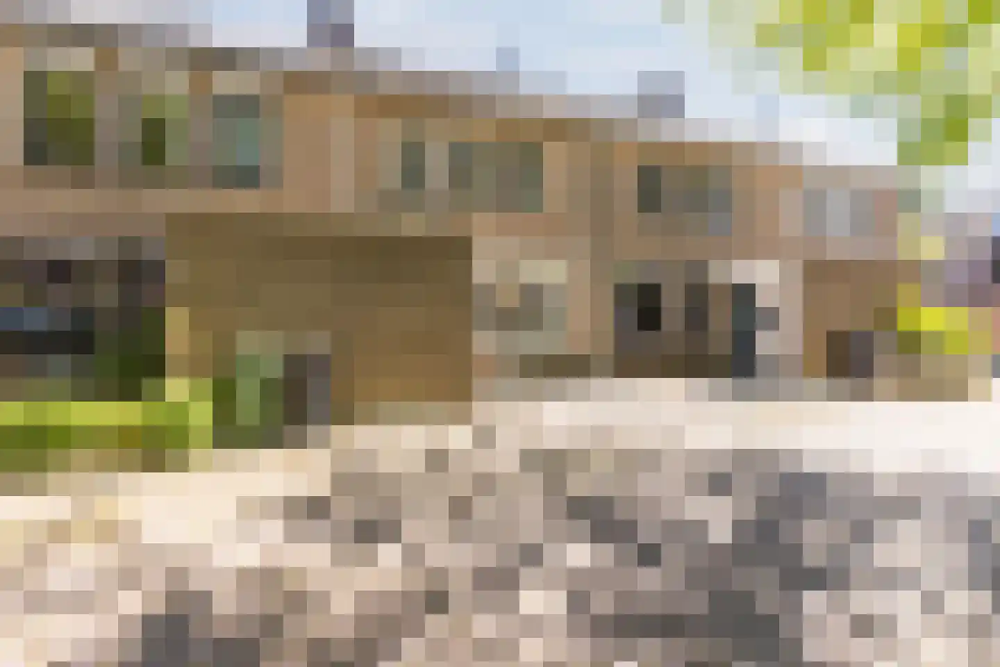 Schutsboom 37 Geldrop thumbnail 47