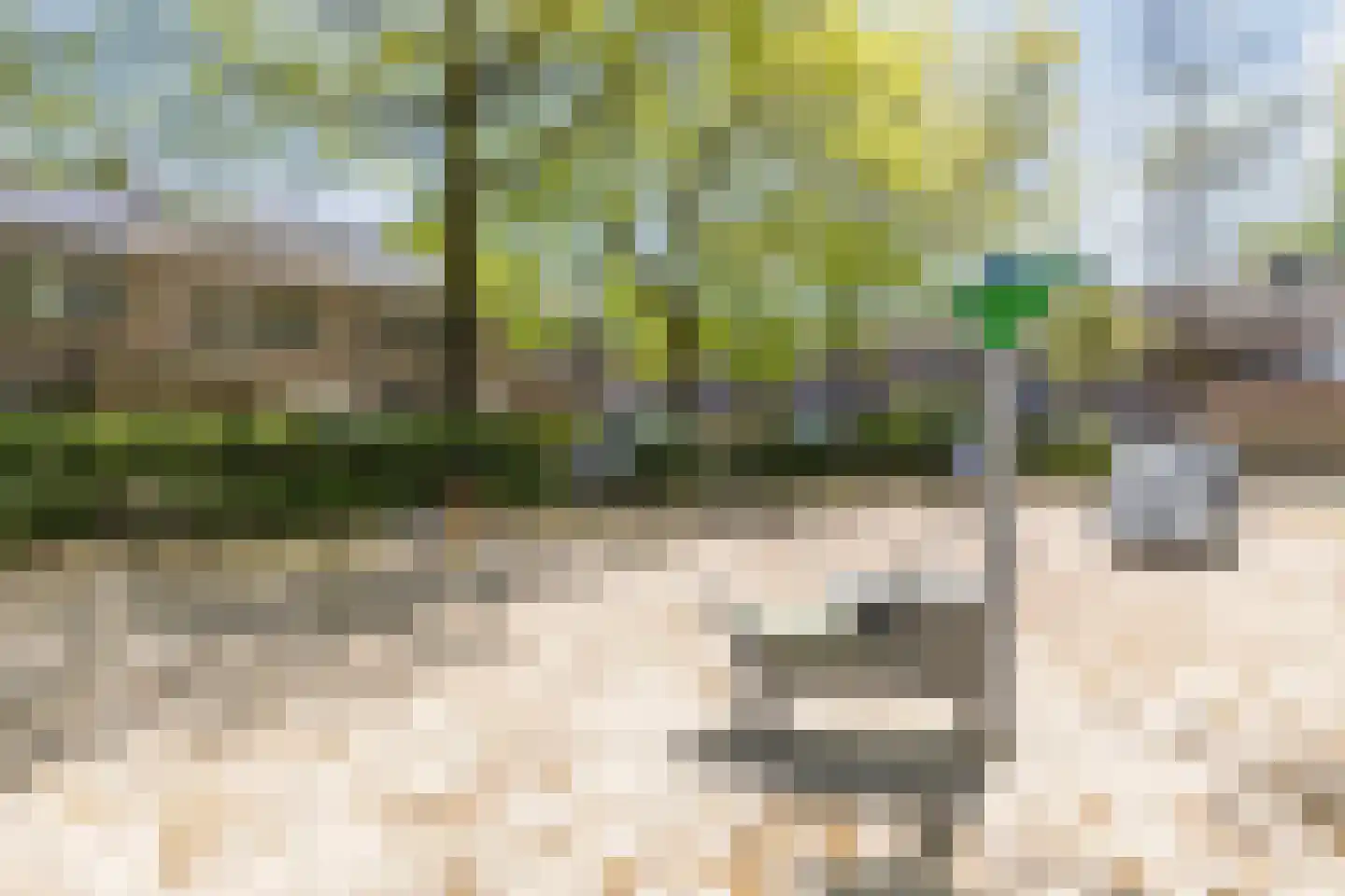 Schutsboom 37 Geldrop thumbnail 48