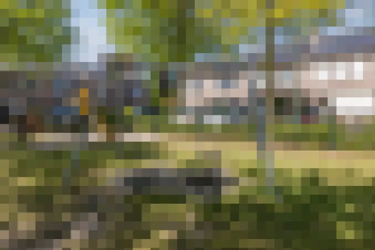 Schutsboom 37 Geldrop thumbnail 49