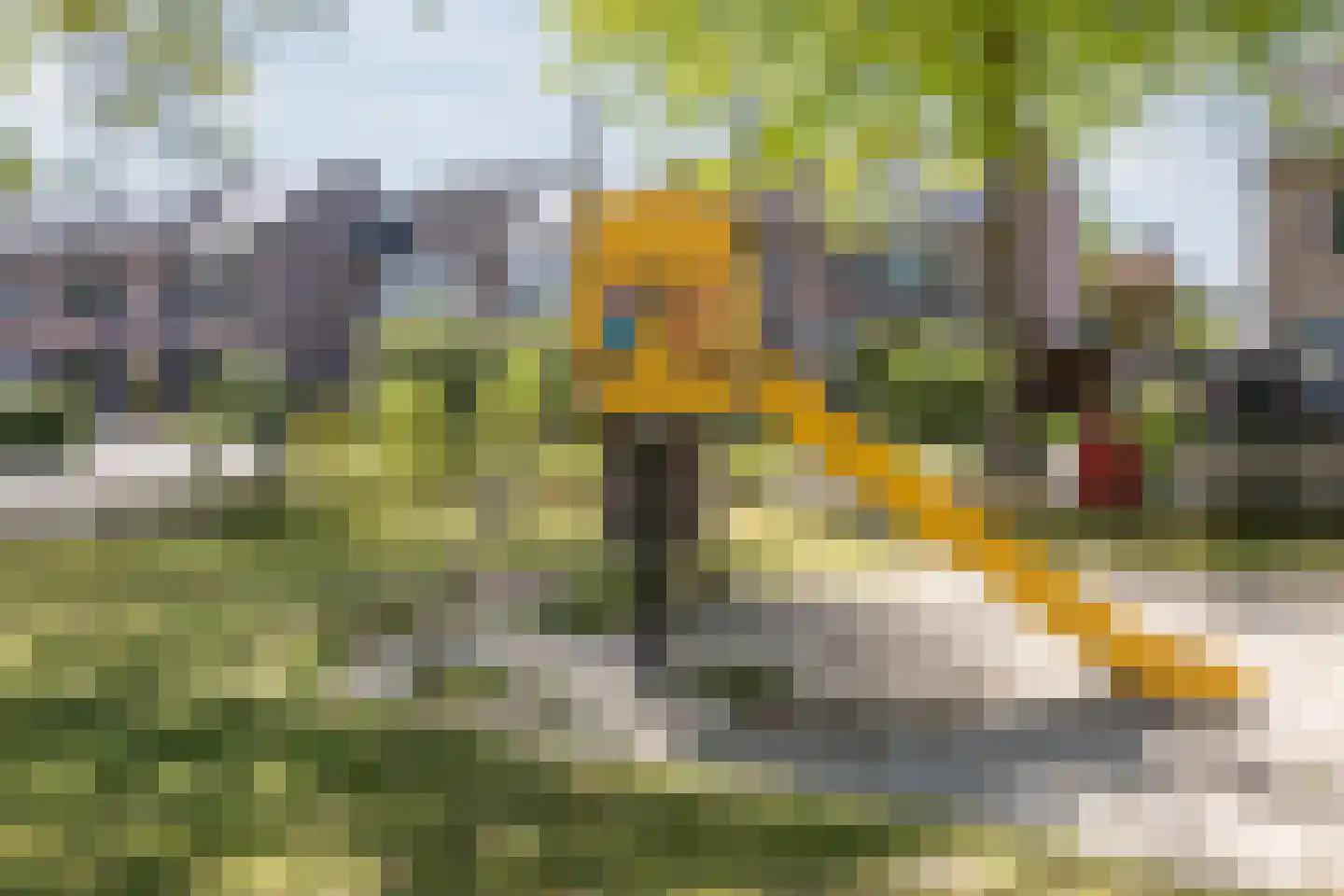 Schutsboom 37 Geldrop thumbnail 50