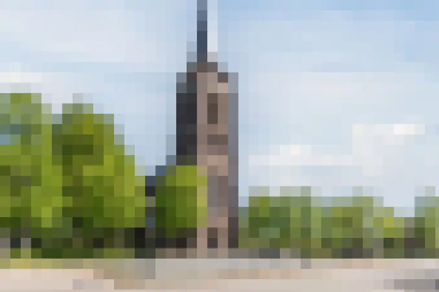 Schutsboom 37 Geldrop thumbnail 51