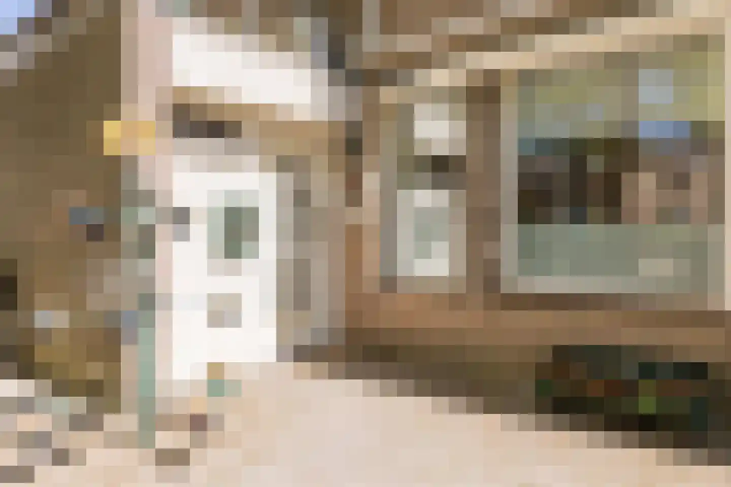 Schutsboom 37 Geldrop thumbnail 6