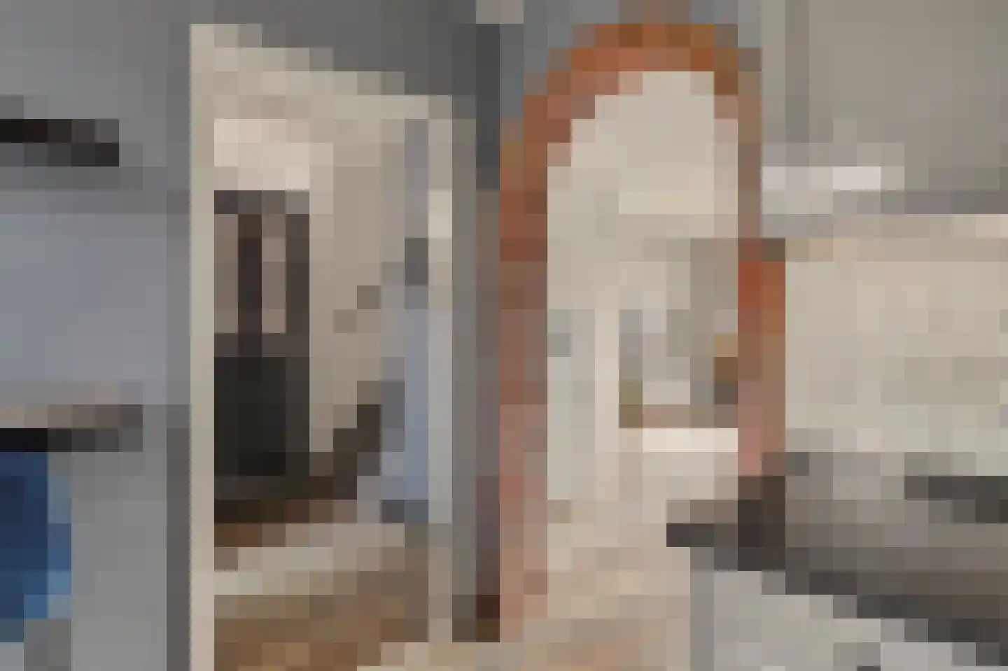 Schutsboom 4 Bladel thumbnail 10