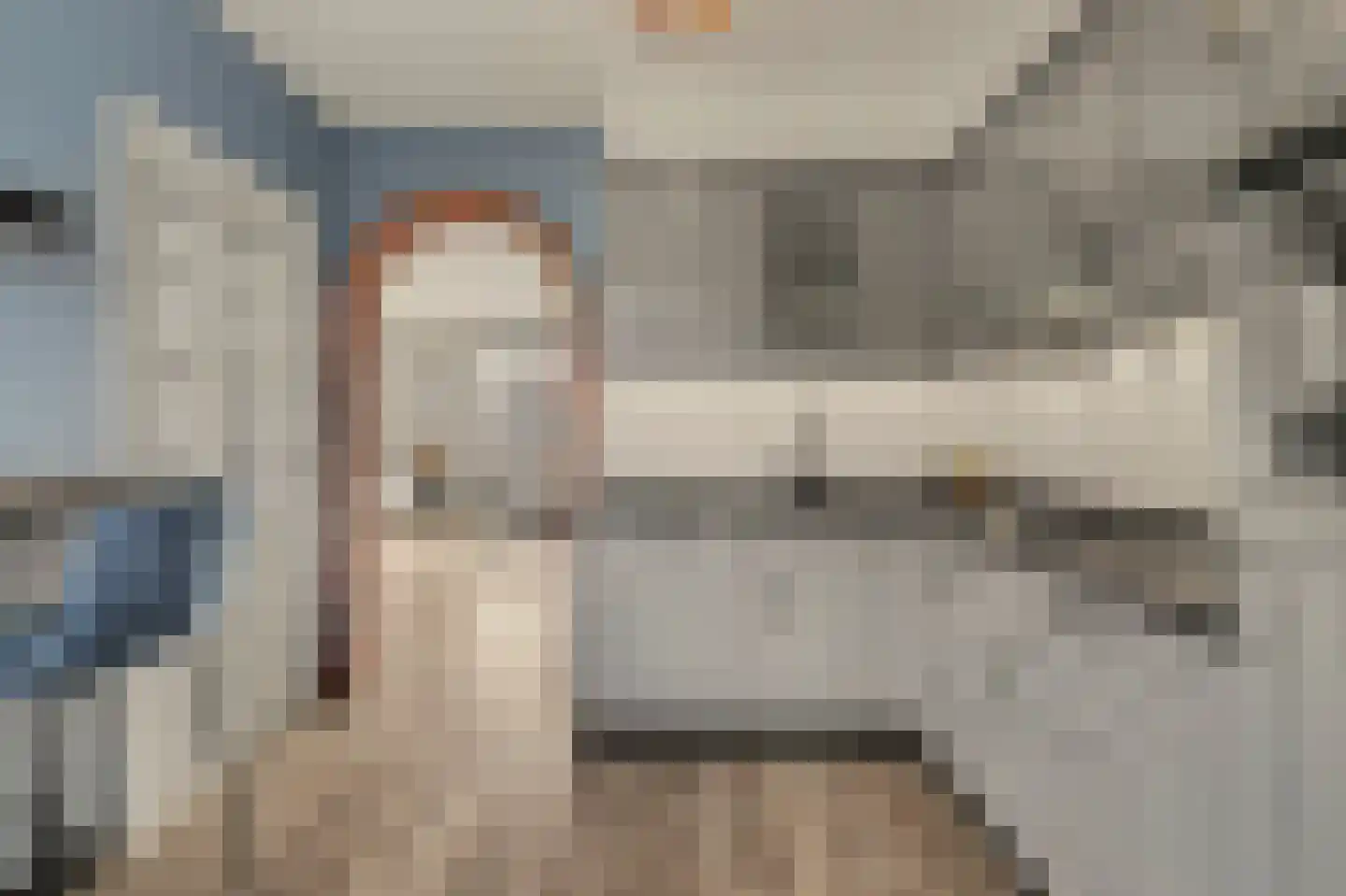 Schutsboom 4 Bladel thumbnail 11