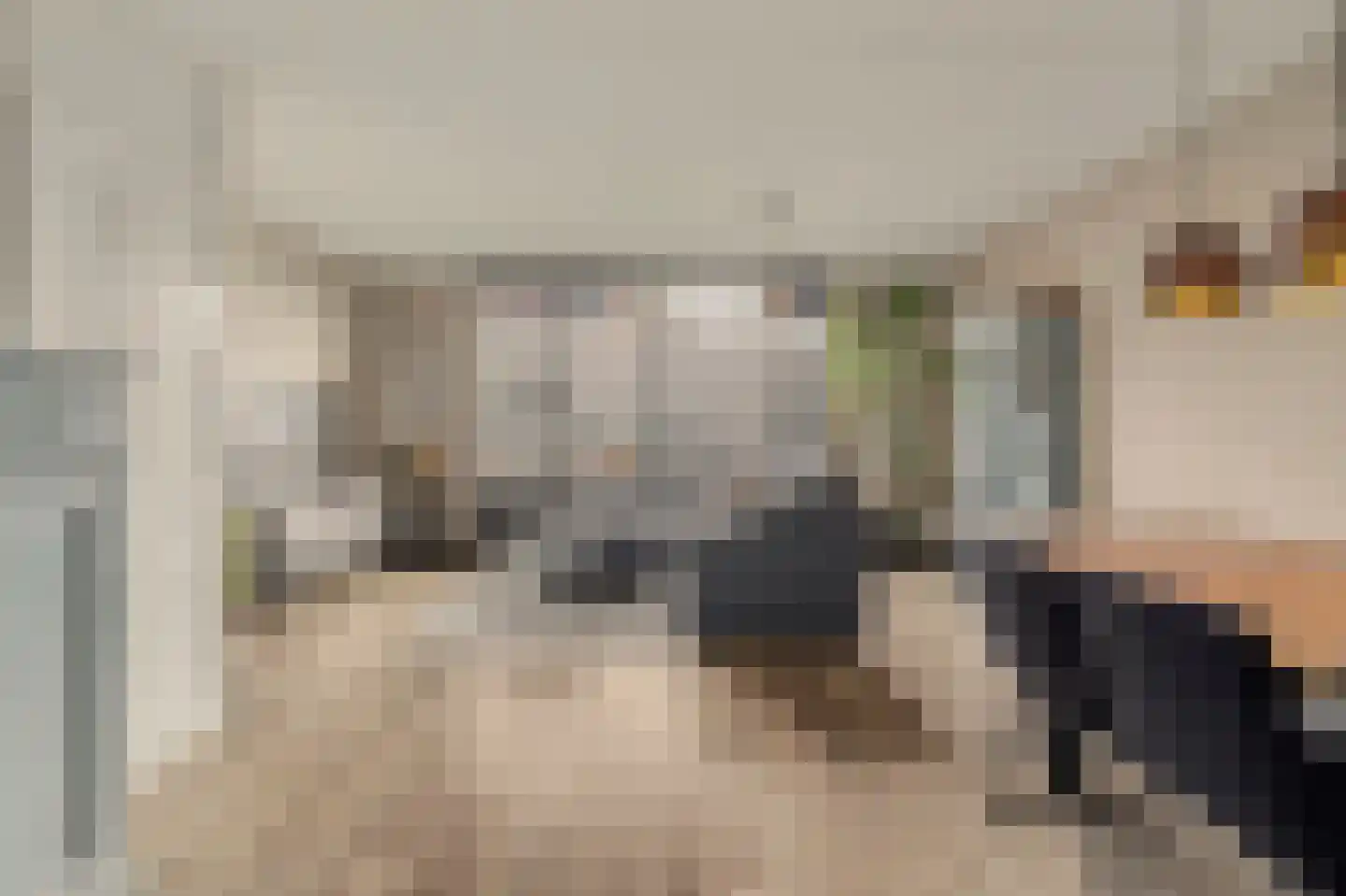 Schutsboom 4 Bladel thumbnail 18