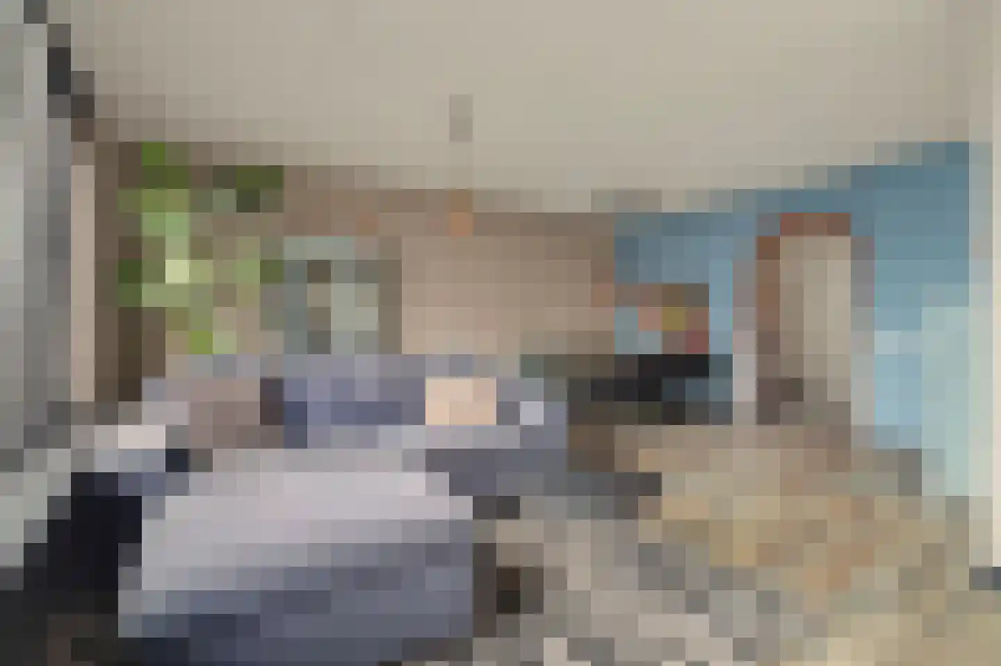 Schutsboom 4 Bladel thumbnail 20